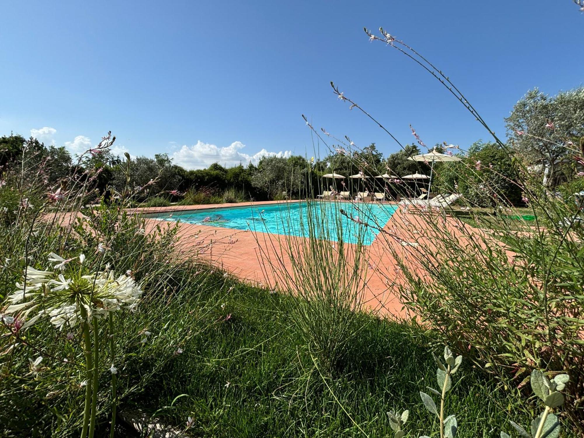 Nonna Nara Bed & Breakfast Grosseto Exteriér fotografie