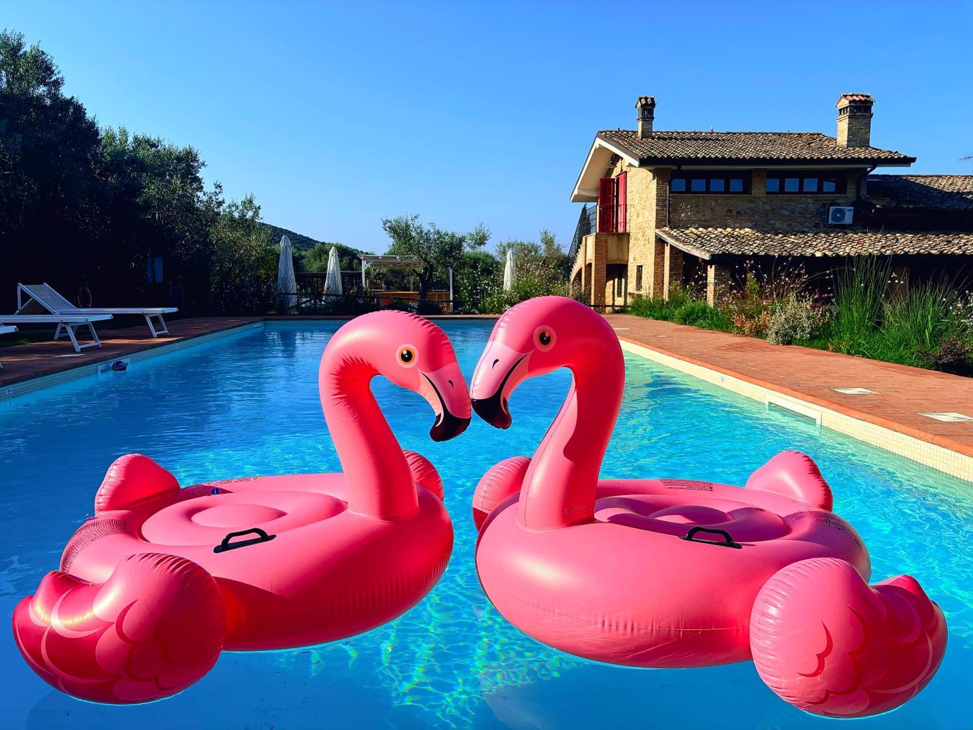 Nonna Nara Bed & Breakfast Grosseto Exteriér fotografie